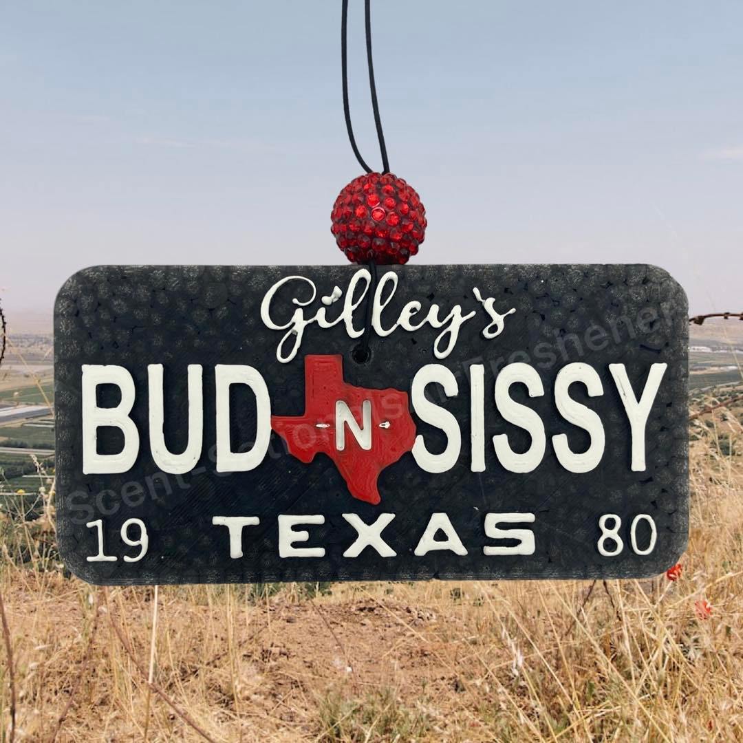 Bud & Sissy License Plate Car Freshie